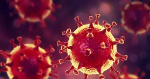 Ковид в пет училища разпусна паралелки