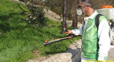 В Русе започна пръскането срещу кърлежи 