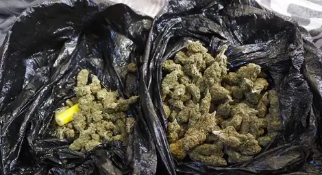 Над 1,3 килограма марихуана и метамфетамин задържани при разбиване не наркосхема в Русе