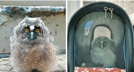 Снимки: &bdquo;Екип 7&ldquo;