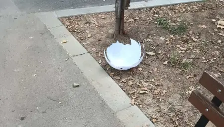 Среднощен вандализъм в Парка на младежта е регистриран от общинското видеонаблюдение /галерия/