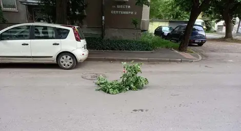 Граждани търсят помощ за дупка на пътя от Алисе Муртезова Граждани търсят помощ за дупка на пътя от Алисе Муртезова