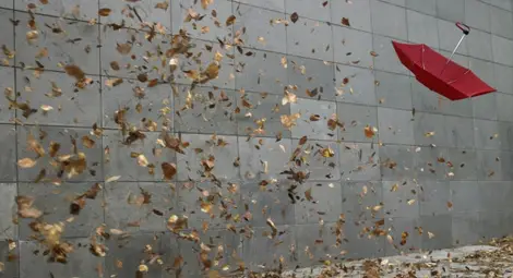 Отнесени покриви и изкоренени дървета, хиляди без ток след бурята в страната Отнесени покриви и изкоренени дървета, хиляди без ток след бурята в страната