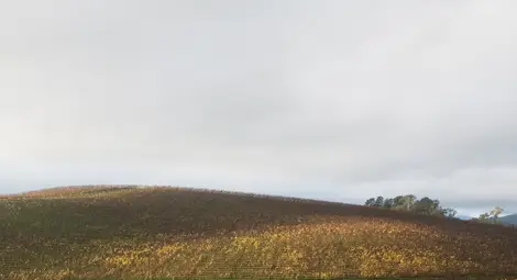 Историята на най-популярната снимка в света /снимки и видео/