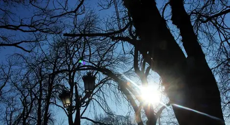 Студът отстъпва, в петък на места до 20 градуса Студът отстъпва, в петък на места до 20 градуса