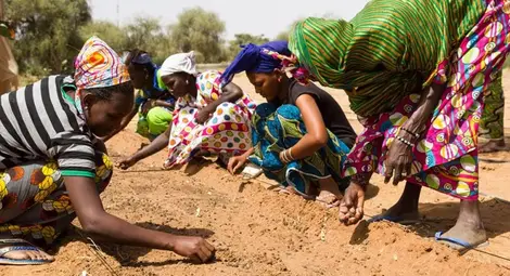 Държавите с най-младо население в света