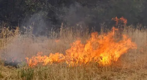 Влак запали над 2 декара сухи треви в Червена вода Влак запали над 2 декара сухи треви в Червена вода