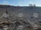 Комбайн, 30 тона торове, 5 декара овощна градина, 10 кошера и над 300 декара треви са изгорели при пожари в Монтанско вчера