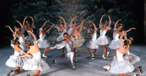 Пускат ученически билети за Балета на лед от Санкт Петербург