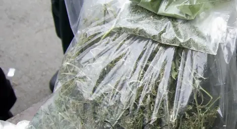 Русенка заловена с близо кило марихуана на Дунав мост