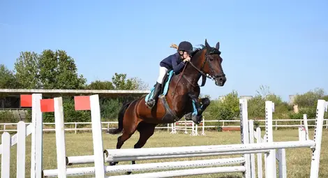 30 тандема от 9 клуба участваха в  държавното по всестранна езда в Русе