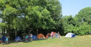 Скаути от три града правят бивак в лесопарка Липник