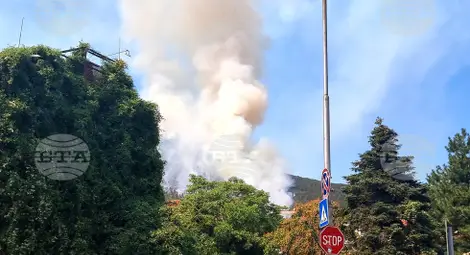 Снимка: БТА Снимка: БТА