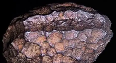 Сензационни находки, за които учените мълчат като риби