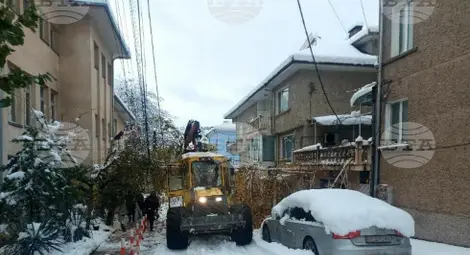 Снимка: БТА Снимка: БТА