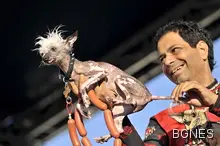 Умря най-грозното куче в света