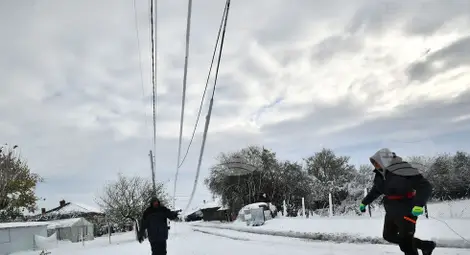 Снимка: БТА