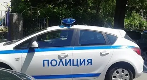 Шофьор оцеля в катастрофа с 12 повалени дървета