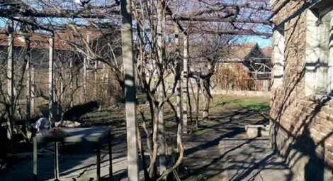 Перничанка иска да осинови питбула, убил дете