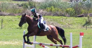 „Кентавър“ кани на зрелищен  Тодоровден на хиподрума