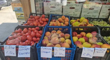 Снимка: БТА