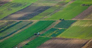 Кампанията за директните плащания на  фермерите може да се удължи със седмица