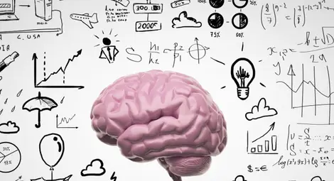 Учени: Част от мозъка остава млада завинаги