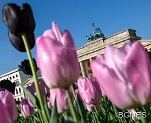 2 трилиона евро за едно обединение 2 трилиона евро за едно обединение