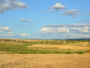 Изпомпиха 80 000 литра вода от ниви край Красен