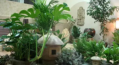 Стилове във фитодизайна