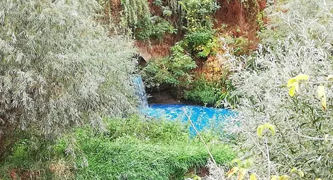 Екоинспекцията не сварила да види електриковите води в Лома