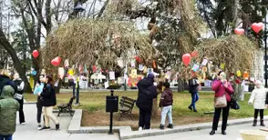 Дървото на влюбените ще разцъфне с над 250 валентинки на 14 февруари