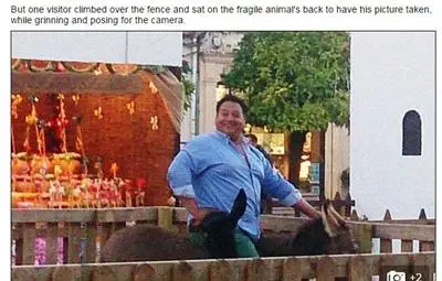 150-килограмов мъж яхна магаре и го уби