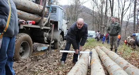Горските ще маркират с пластини дървесината