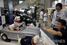 Най-малкото кученце в света се побира в човешка длан 