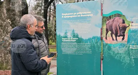 Снимка: БТА