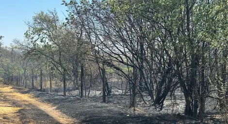 Критичната ситуация с пожара в Николово е овладяна, продължава гасенето в отделни участъци