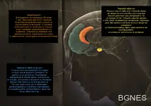 Учени откриха точката на душата