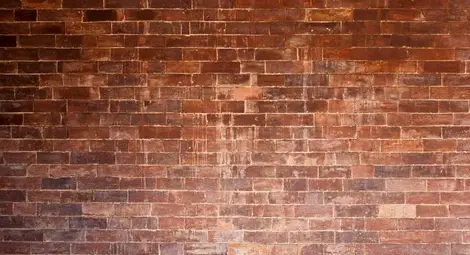 Мъжът, който се храни с тухли и кал вече 20 години