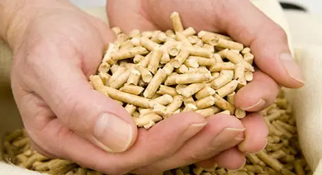 Община Русе е одобрена по проект за подмяна на стари уреди за отопление с нови по-екологични устройства Община Русе е одобрена по проект за подмяна на стари уреди за отопление с нови по-екологични устройства