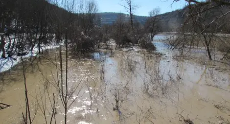 Русенски Лом преля при Кошов и Красен