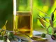 Зехтинът – еликсир за дълъг живот
