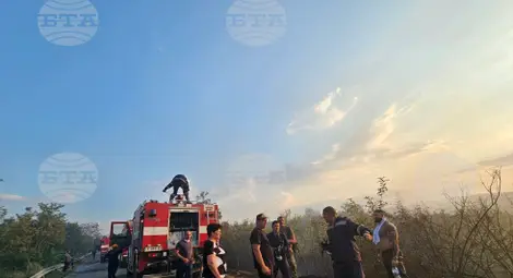 Снимка: БТА