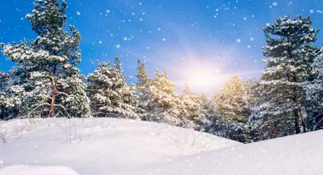 Времето до края на януари