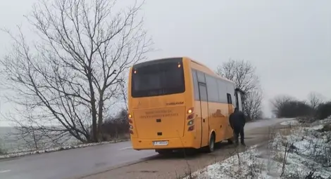 Петгодишен елен в разцвета на силите си се вряза в автобус с ученици Петгодишен елен в разцвета на силите си се вряза в автобус с ученици