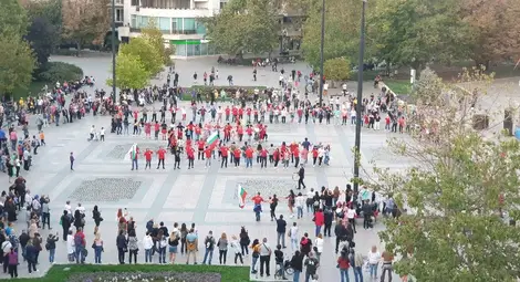 Снимка: Алкин ВЕЙСАЛ