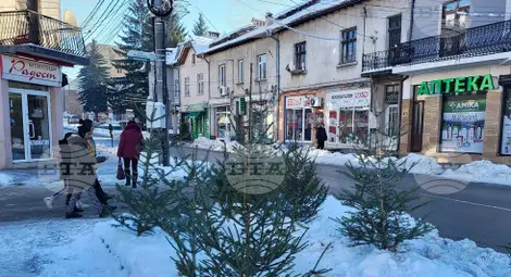 Снимка: БТА Снимка: БТА