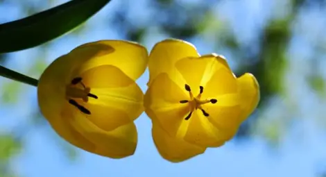 Слънчево и топло през уикенда