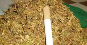 Палят бали с тютюн на Дунав мост