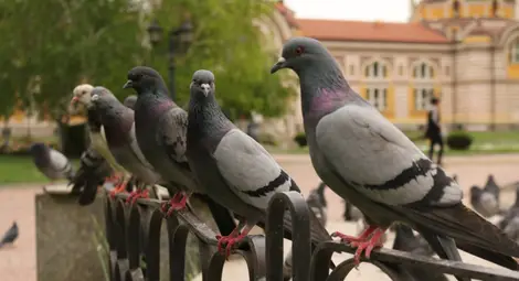 Валежи и гръмотевици ще понижат температурите